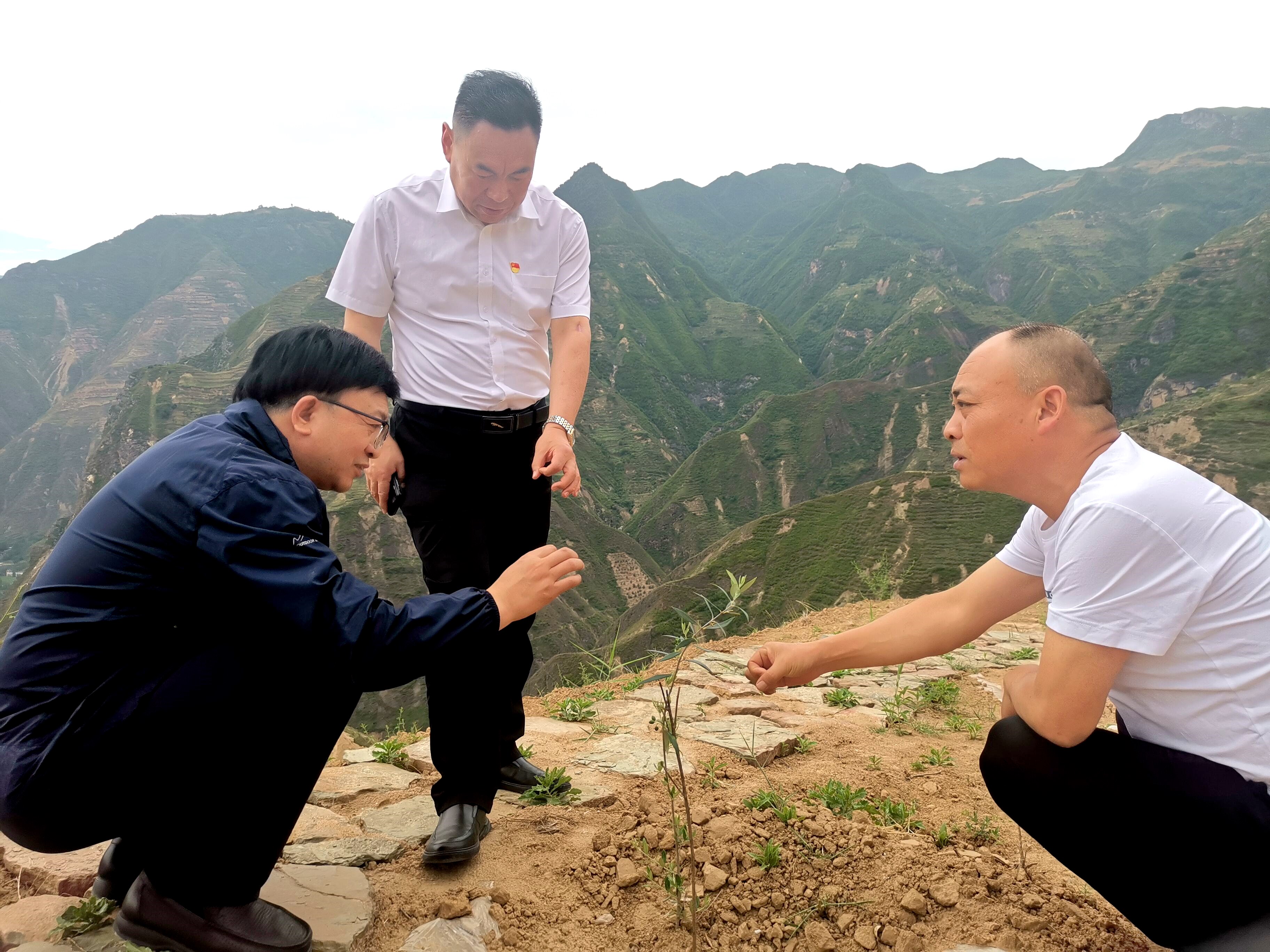 1688732982868008126.jpg QQ图片20230707202326.jpg